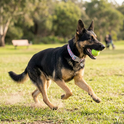 Pink Heart Dog Collar – Quick Release Adjustable Collar for Puppies & Small Dogs