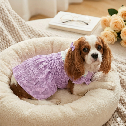 Spring and Summer Pet Clothes for Dogs and Cats